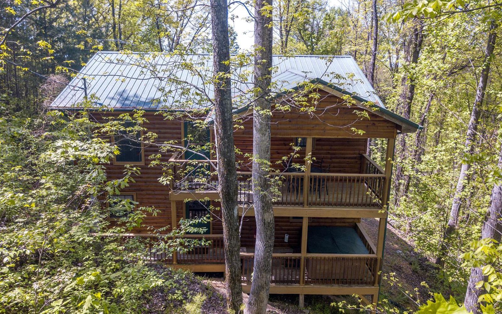 גטלינבורג Little Bear Cabin מראה חיצוני תמונה
