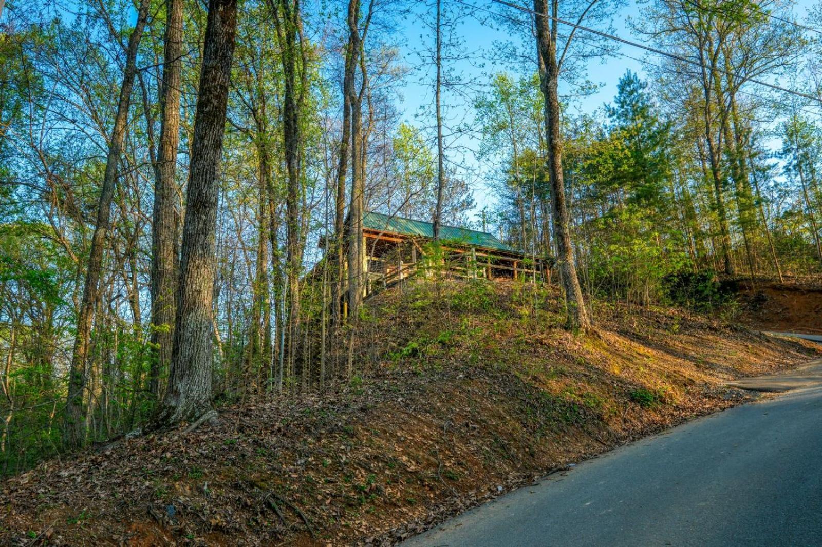 גטלינבורג Little Bear Cabin מראה חיצוני תמונה